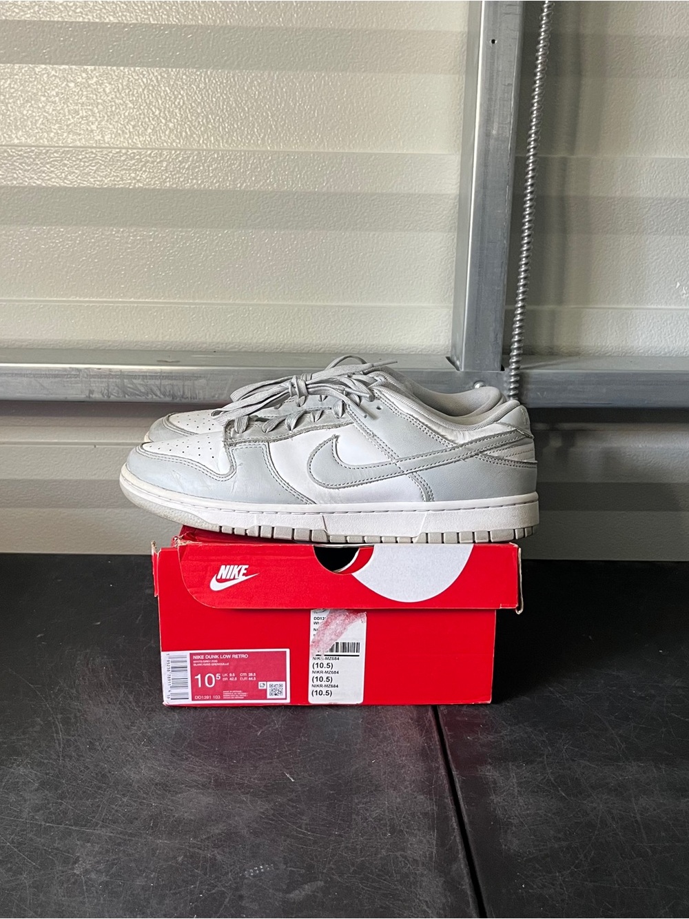 Size 10.5 - Nike Dunk Low Retro Fog